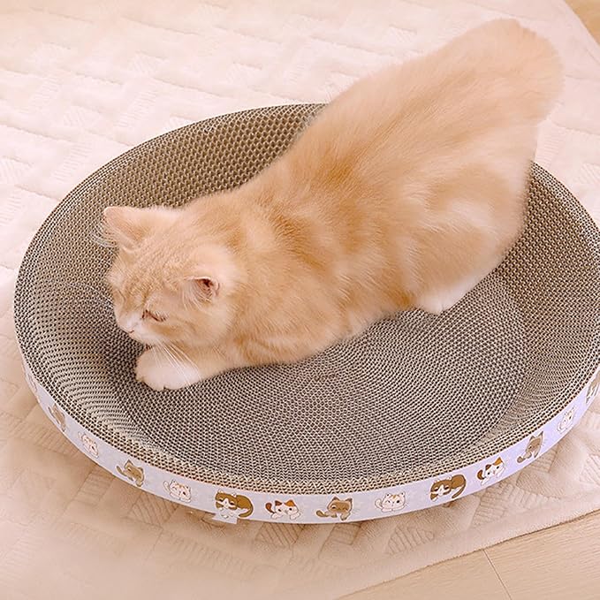 Cat Scratching Board
