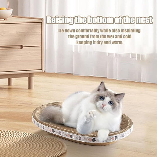 Cat Scratching Board
